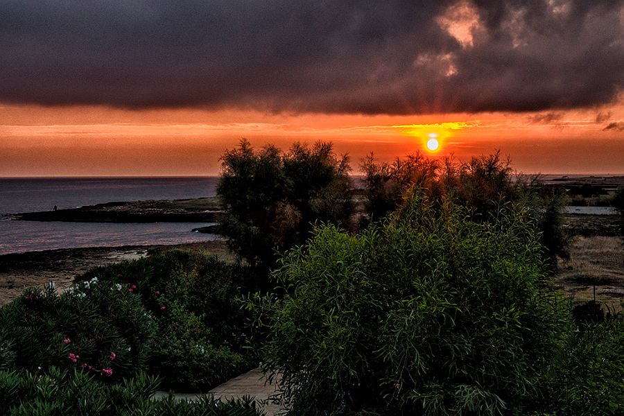 OSTUNI- L'ALBA.jpg